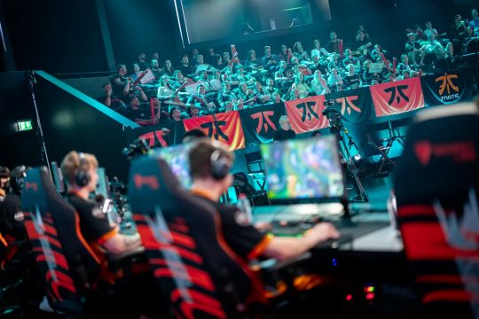 的篮球世界 的篮球世界