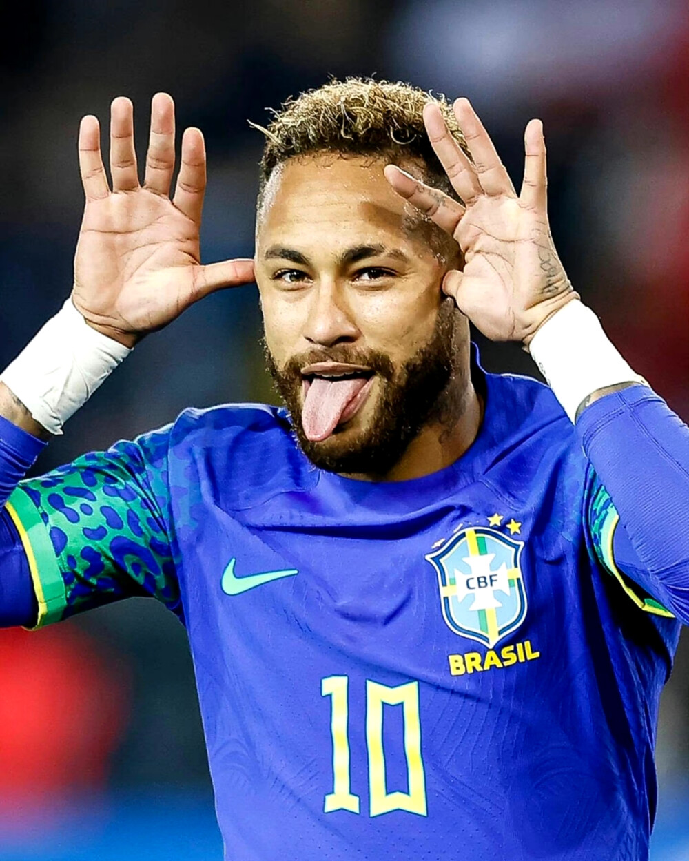 为坚实的后 为坚实的后